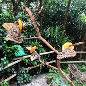 Die Mädchenwohngruppe der Jugendhilfe Collstede  hat einen unvergesslichen Urlaub im Tropical Island erlebt. Foto: Jugendhilfe Collstede