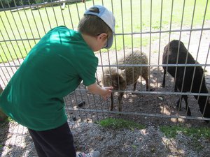 Die Vorschulkinder der DiKiTa hatten einen tollen Ausflug in den Freizeitpark Ostrittrum, mit anschließender Übernachtung. Foto:DiKiTa